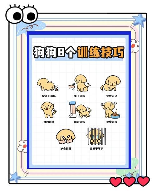 伊利亚的宠物手册分享宠物训练的小技巧