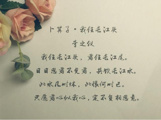 传说中的小五郎君爆火 看看网友是怎么评价他的