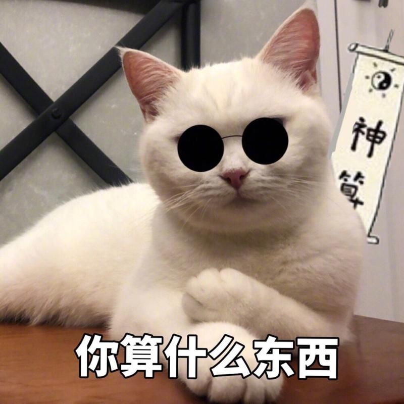 你为何这么叼图片高清原图下载 收藏必备表情包