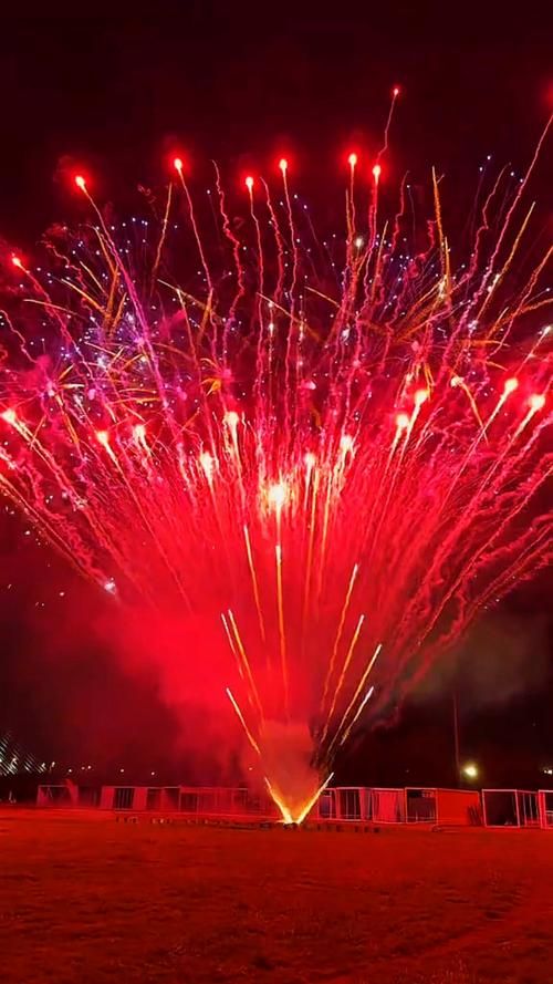 你就像烟火的美丽绽放出最耀眼的光芒