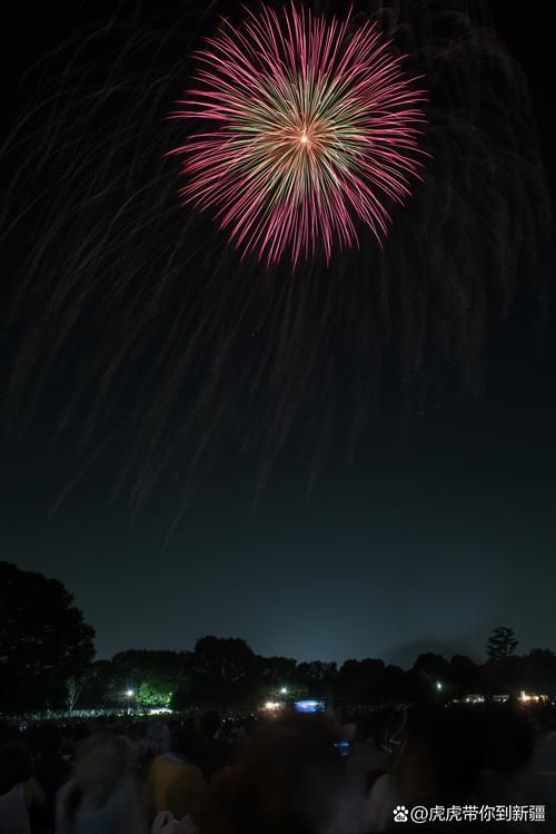 你就像烟火的美丽绽放出最耀眼的光芒