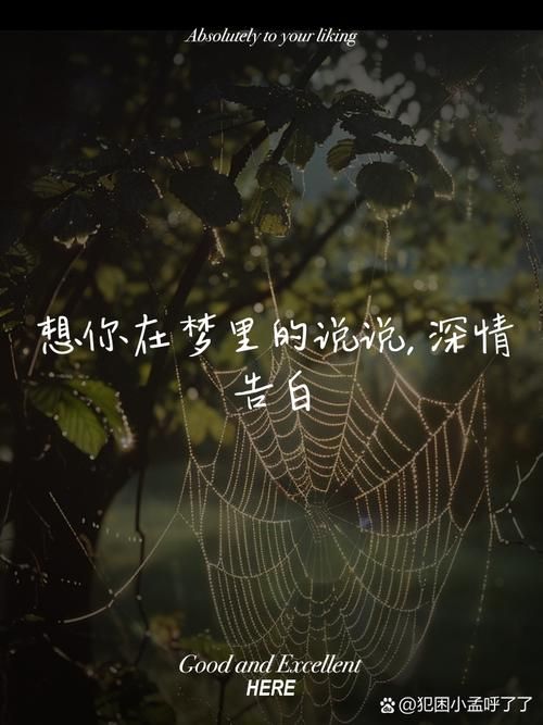 你明明不在我身边为何梦里总是遇见你