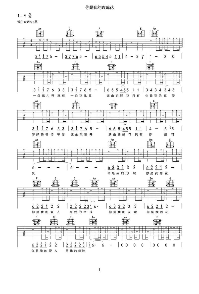 你是我的花朵歌词中文翻译及演唱技巧