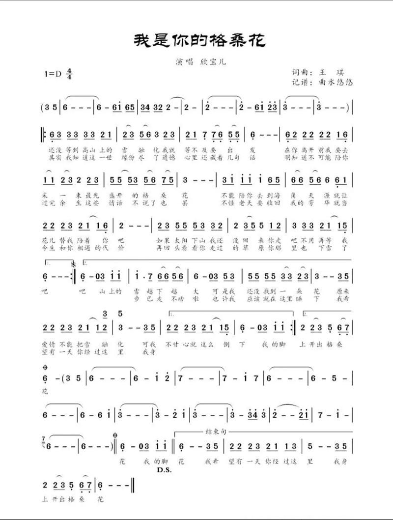 你是我的花朵歌词中文翻译及演唱技巧