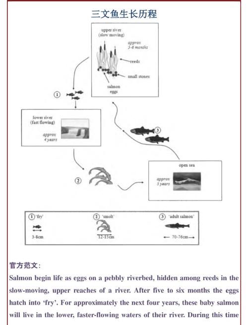 佩里科岛前置任务流程 快速完成技巧分享