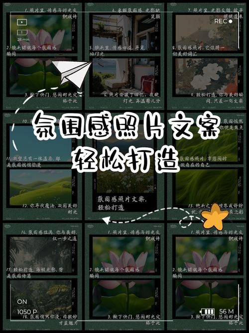 免费空间皮肤代码下载轻松打造个性主页