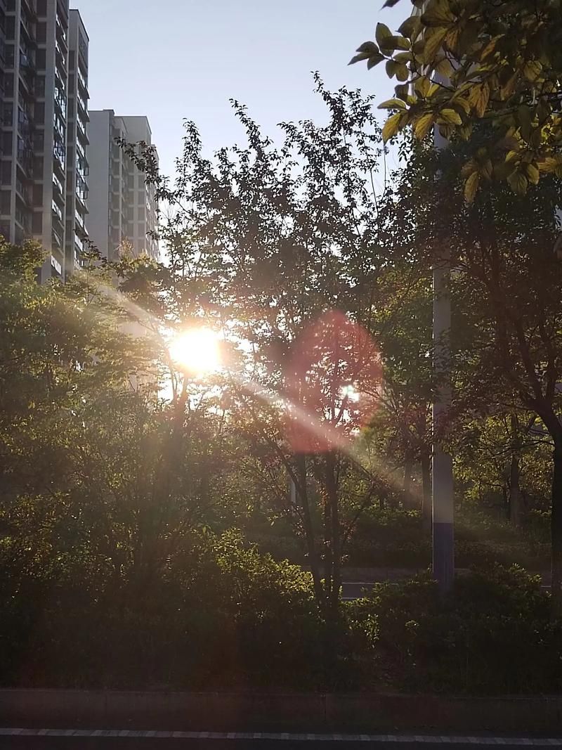 全世界都停电歌词含义揭秘你听懂了吗