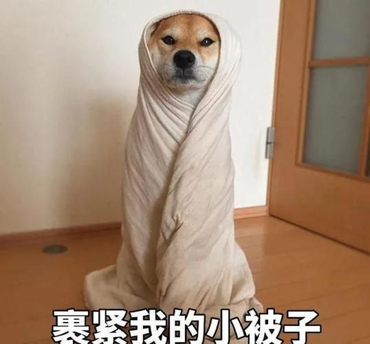 全国冻哭预警地图最新版 保暖攻略请收好