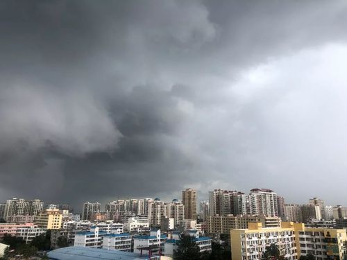 公园熊出没被击毙现场目击者讲述经过