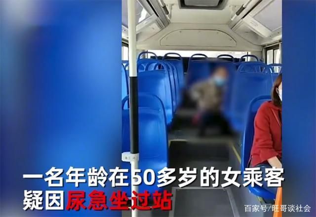 公园熊出没被击毙现场目击者讲述经过