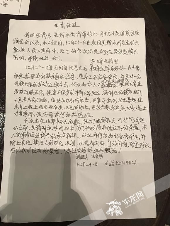 公园熊出没被击毙现场目击者讲述经过