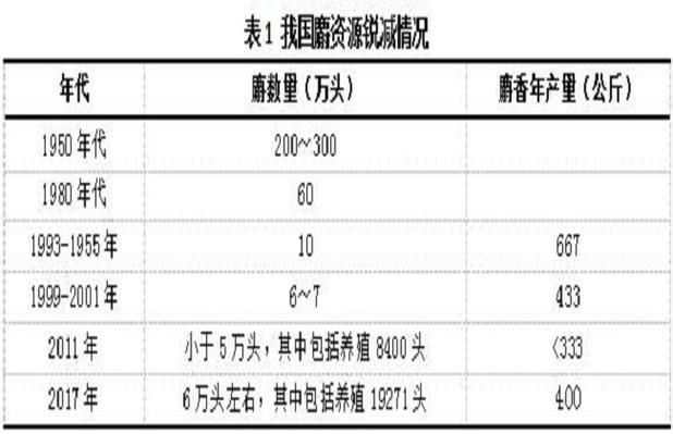 剑灵御龙林进化石价格多少 市场行情最新分析