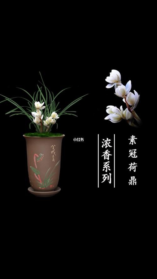 剑网3素冠荷鼎怎么获得 获取方法全解析
