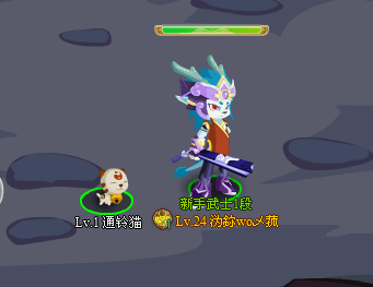 功夫派通灵猫在哪获得 任务流程详解
