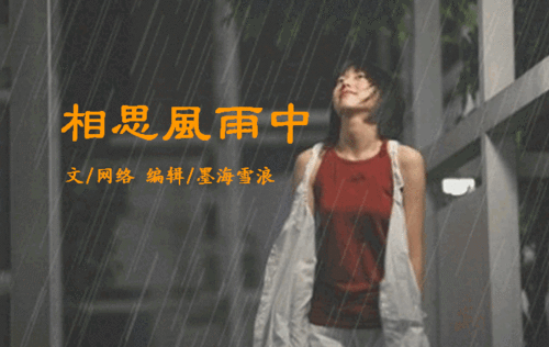 动态图雨后小故事精选 每一张都让人会心一笑