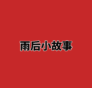 动态图雨后小故事精选 每一张都让人会心一笑