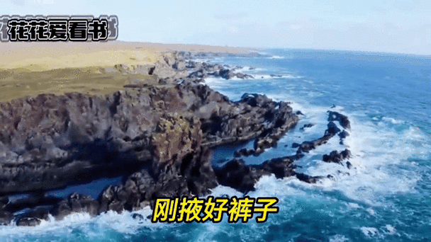 动态图雨后小故事精选 每一张都让人会心一笑