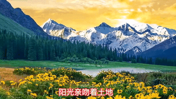 动态风景桌面壁纸推荐 让你的电脑屏幕美如画