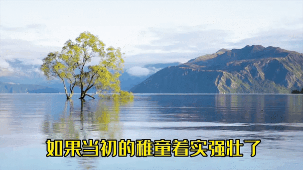 动态风景桌面壁纸推荐 让你的电脑屏幕美如画