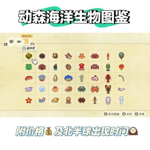 动森怎么下海潜水 海底生物收集技巧分享