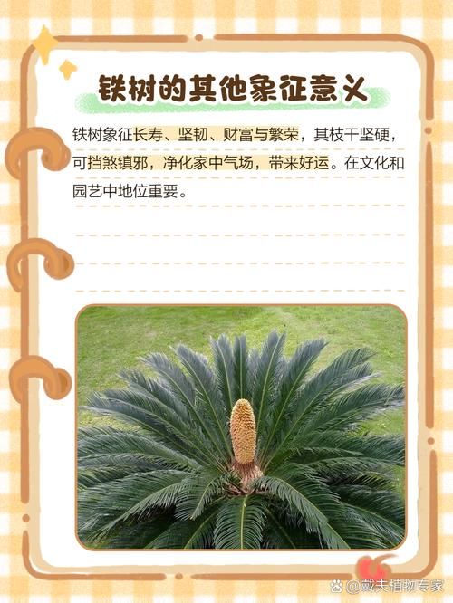 千年铁树开花结果需要多久 真相让人意外