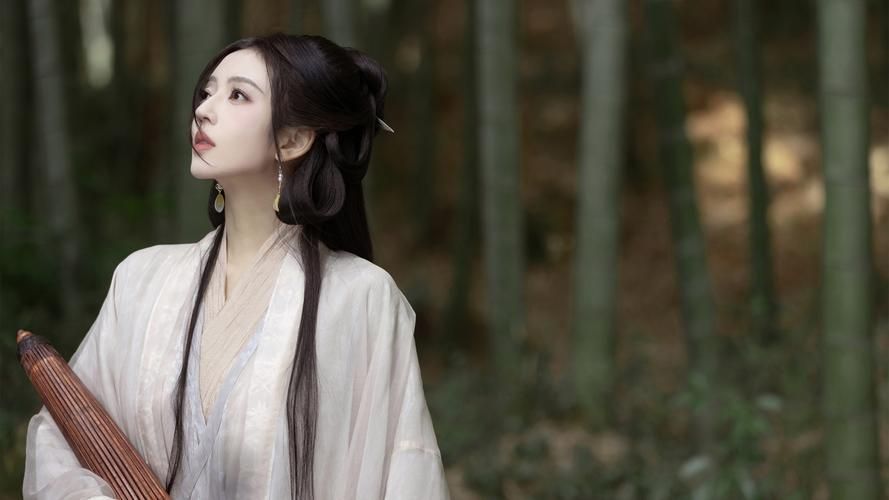 半生雪歌词完整版下载 收藏这份古风经典之作