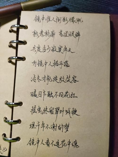 半生雪歌词完整版下载 收藏这份古风经典之作