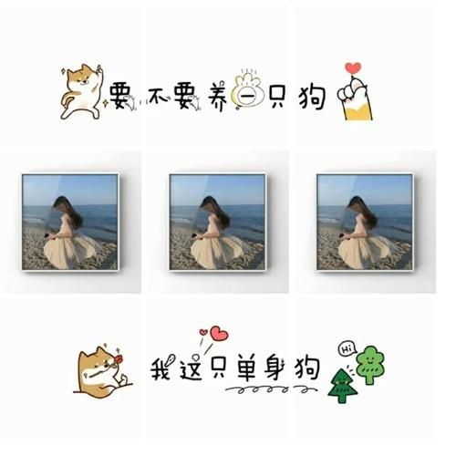 单身狗520文案大全 一个人也要过出仪式感