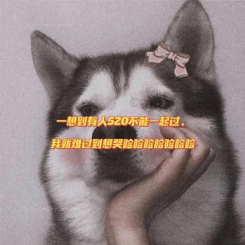 单身狗520文案大全 一个人也要过出仪式感