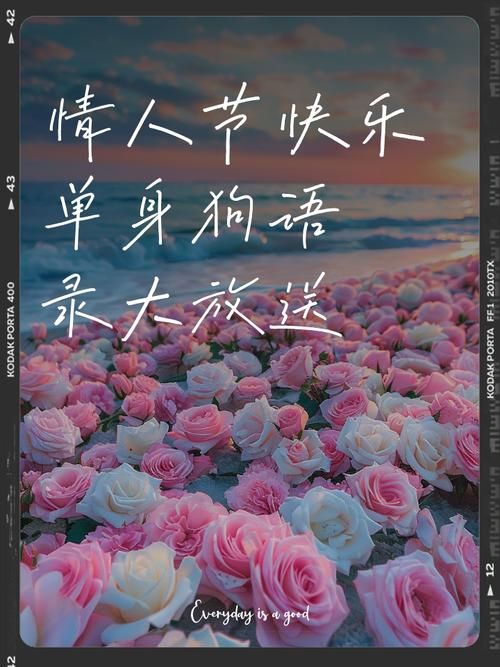 单身狗520文案大全 一个人也要过出仪式感