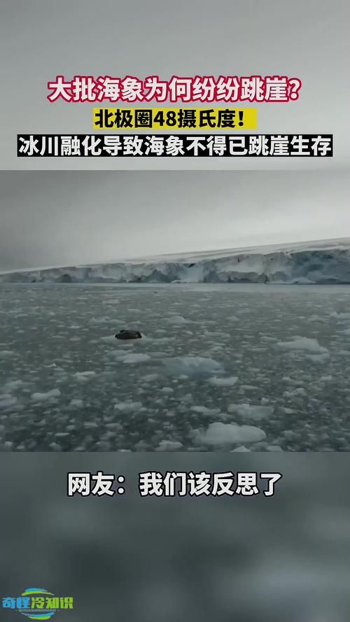 南极海冰面积骤减原因揭秘 全球变暖影响有多大