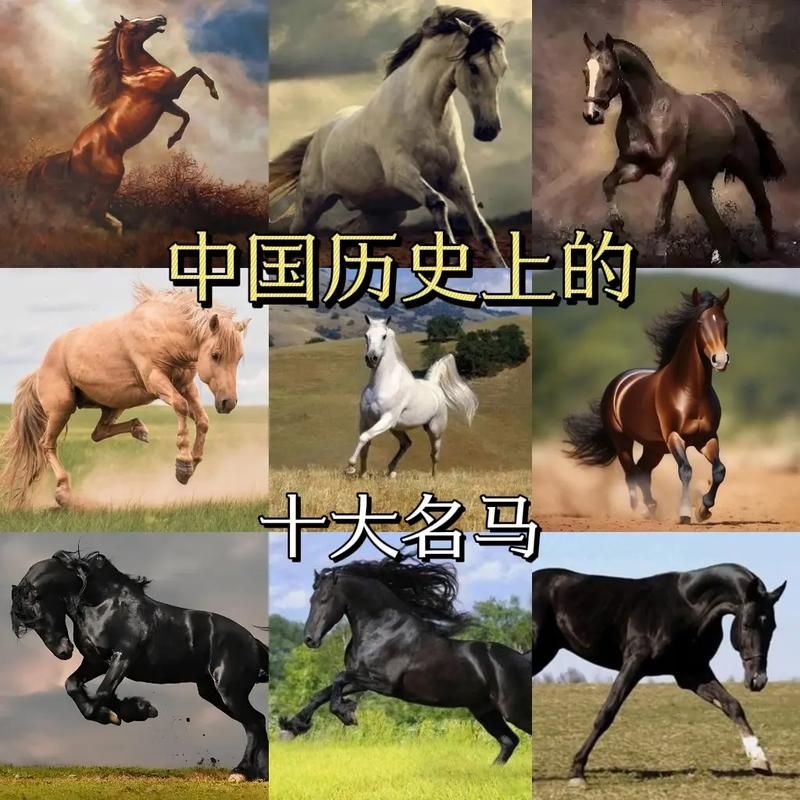 卢马最先为谁所坐古代名马主人的身份大揭秘