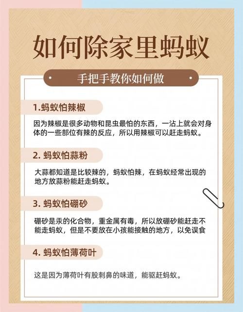 危言危行蚂蚁庄园每日必做 这些小技巧超实用