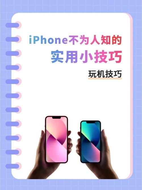 危言危行蚂蚁庄园每日必做 这些小技巧超实用