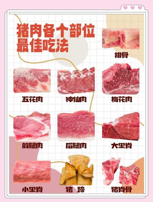 厚实的肉块怎么得 烹饪前必看的选肉技巧