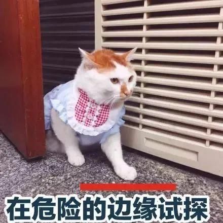 叠罗汉是什么意思 这项运动到底有多危险