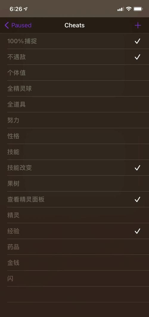 口袋妖怪心金黑屏修复指南 简单几步就能搞定