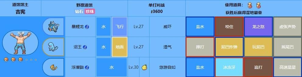 口袋怪兽钻石攻略道馆挑战顺序解析