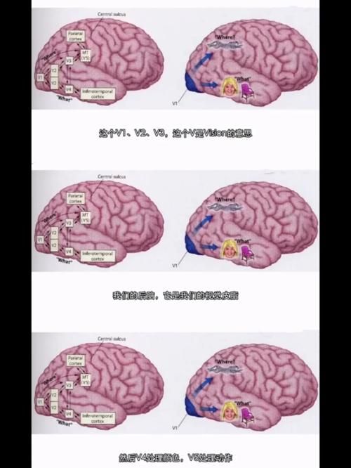 可怕的真相在哪交 揭露不为人知的秘密地点