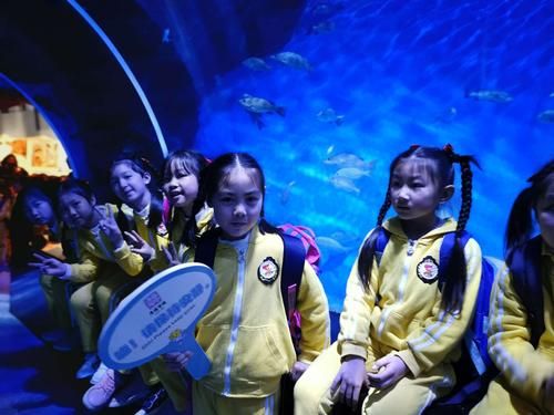 史酷比海洋历险4幕后花絮 揭秘海洋冒险的拍摄故事