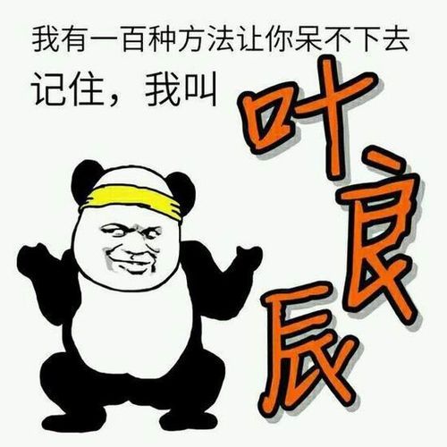 叶良辰是什么意思 网络红人叶良辰的来历大揭秘