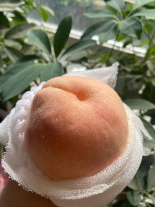 吃个桃桃是什么梗 为什么最近大家都在说这句话