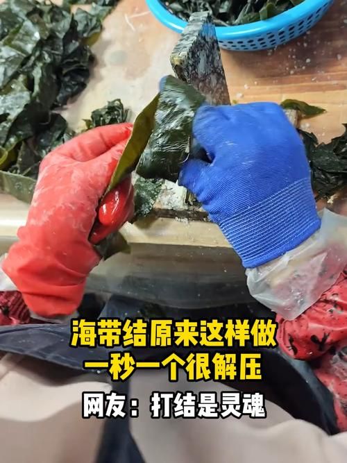 吃海带为什么打结海带打结背后的科学原理