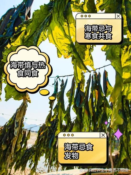 吃海带为什么打结海带打结背后的科学原理