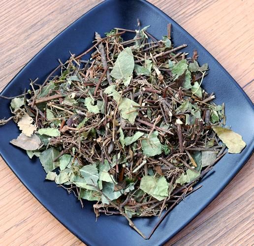 吃肉的植物爬山虎真的存在吗揭秘神奇植物世界