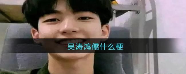 吴涛鸿儒什么意思 为什么大家都在讨论它