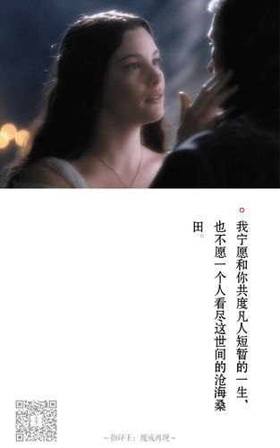 命运之夜zero经典台词集锦 这些对白让人印象深刻