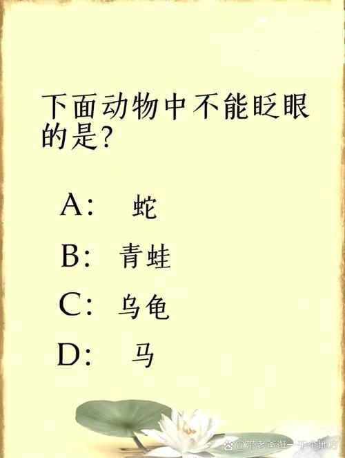 哪种动物不会眨眼揭秘这些神奇的小家伙