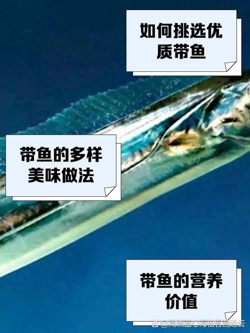 哪种鱼不属于鱼类 揭秘这些名字带鱼却不是鱼的生物