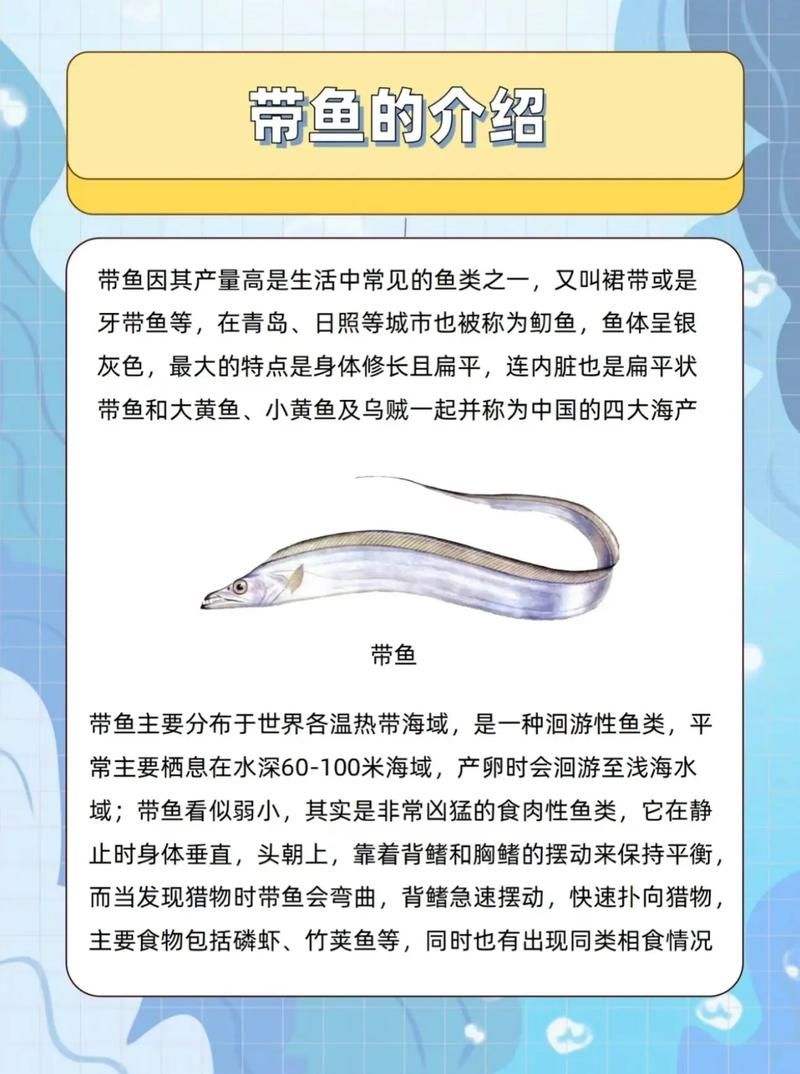 哪种鱼不属于鱼类 揭秘这些名字带鱼却不是鱼的生物